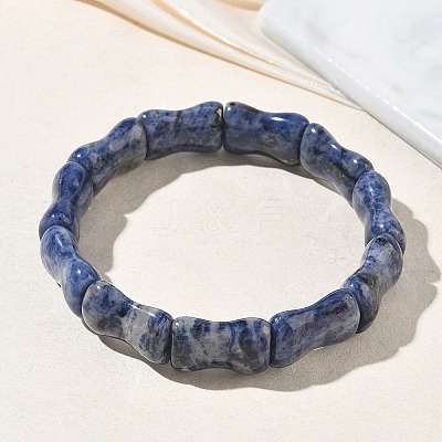 Bamboo Natural Sodalite Beads Stretch Bracelets for Women Men BJEW-K304-01E-1