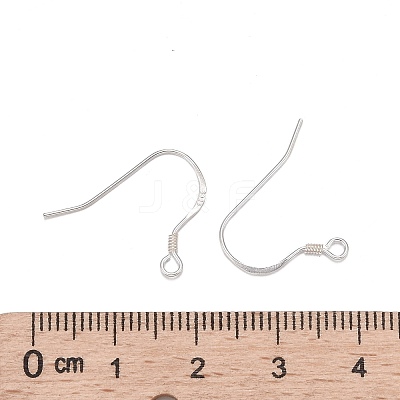 925 Sterling Silver Earring Hooks STER-K167-049C-S-1