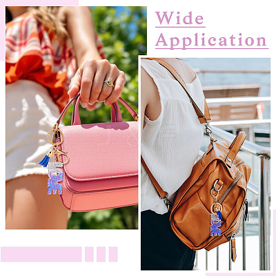 Alloy & Resin Tassel Keychainss AJEW-TADJ0001-20G-02-1