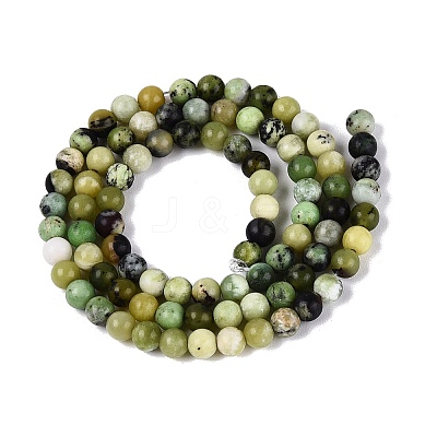 Natural Serpentine Beads Strands G-Q616-07A-1