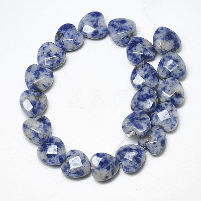 Natural Blue Spot Jasper Beads Strands G-S357-E01-06-1