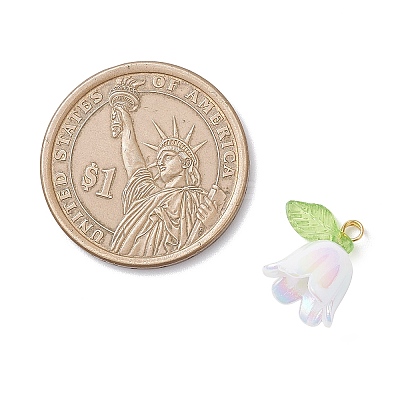 5Pcs Transparent Acrylic Pendants PALLOY-JF04703-01-1
