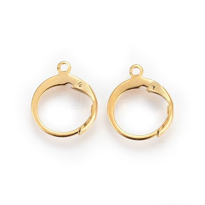 304 Stainless Steel Leverback Earring Findings STAS-I100-19G-1