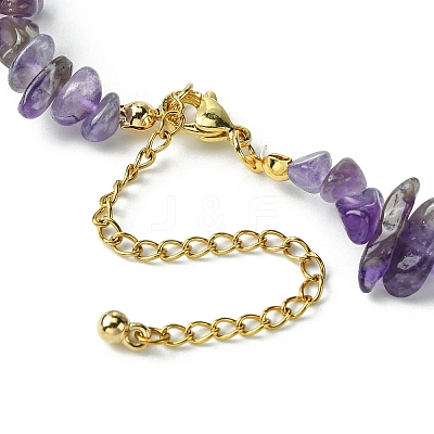 Natural Amethyst Chips Beaded Necklace NJEW-FZ00004-09-1