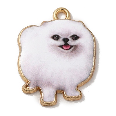 Alloy Pendants PALLOY-E028-01LG-1