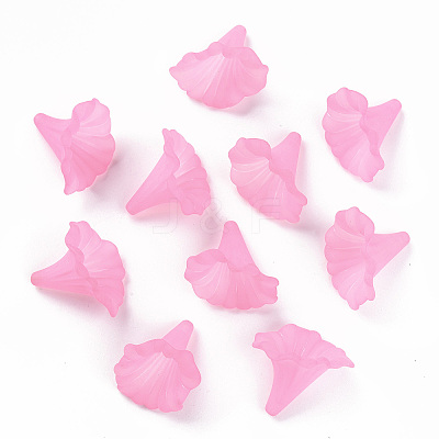 Transparent Acrylic Beads BSF796-C10-1