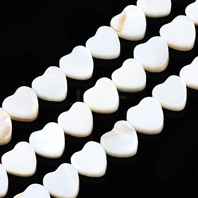 Natural Freshwater Shell Beads Strands SHEL-N026-152-1