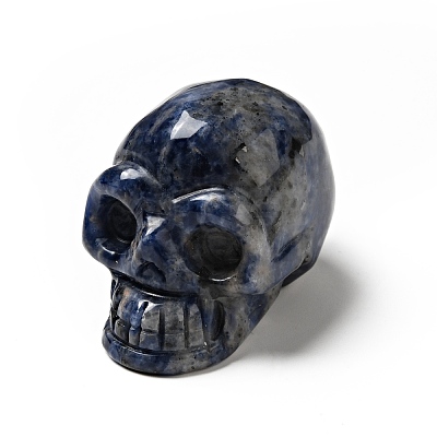 Halloween Natural Sodalite Display Decorations DJEW-K015-31-1