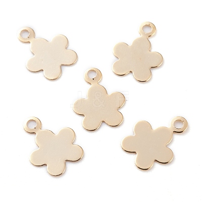 Brass Charms KK-Y003-34G-1