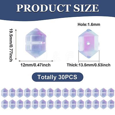 30Pcs Transparent Handmade Lampwork Beads LAMP-TADJ0001-12D-1
