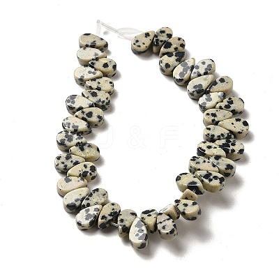 Natural Dalmatian Jasper Beads Strands G-B064-B11-1