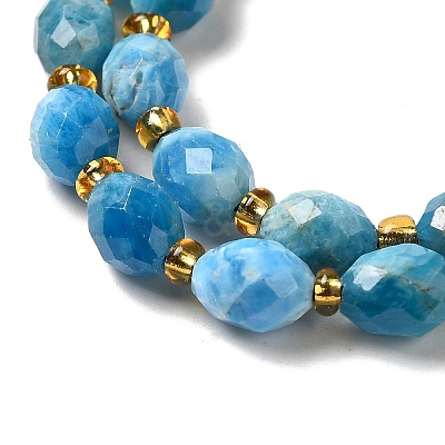Natural Apatite Beads Strands G-H297-C03-01-1