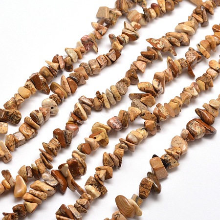 Natural Picture Jasper Chip Bead Strands G-M205-31-1