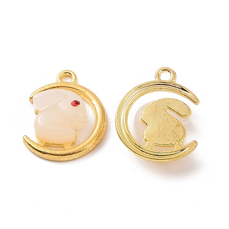 Alloy with Glass Imitation Jade Pendants FIND-G047-03G-1