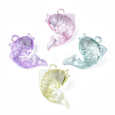 Transparent Acrylic Pendants TACR-N014-005-1