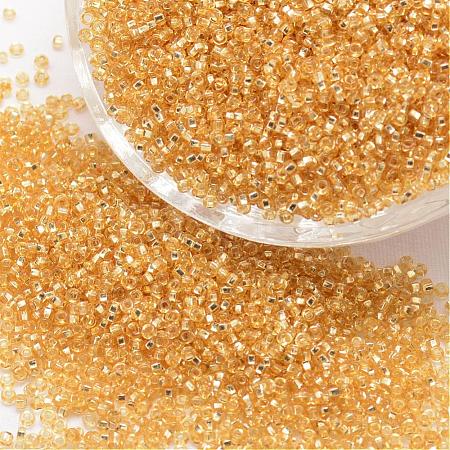 8/0 Round Glass Seed Beads SEED-J018-F8-62-1