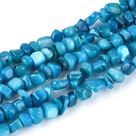 Natural Freshwater Shell Beads Strands SHEL-N037-04I-1