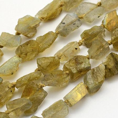 Natural Labradorite Beads Strands G-K202-11C-1