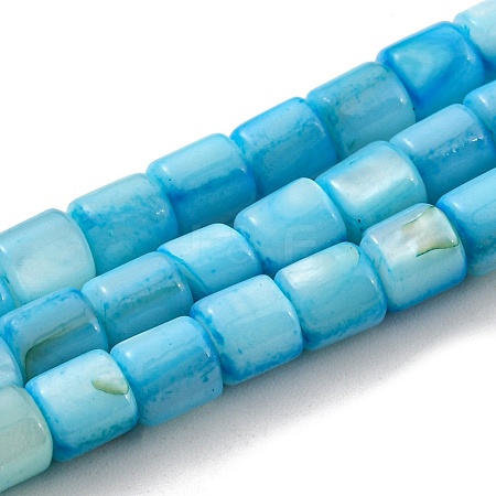 Natural Freshwater Shell Beads Strands SHEL-F008-04D-1