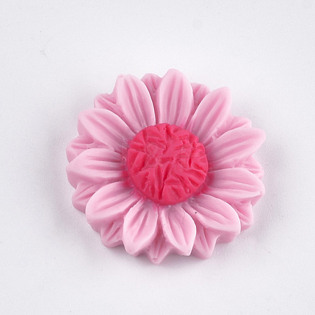 Resin Cabochons CRES-T010-59G-1