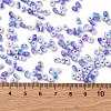 Two Tone Baking Paint Glass Seed Beads SEED-C003-01D-4