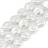 Electroplated Glass Beads Strands GLAA-H039-05A-1
