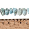 Natural Larimar Beads Strands G-P604-A28-01-5