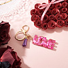 Alloy & Resin Tassel Keychainss AJEW-TADJ0001-20G-09-4