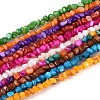 Natural Freshwater Shell Beads Strands SHEL-N037-04A-1