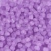 FGB Frosted Transparent Glass Seed Beads SEED-N013-03A-07-3