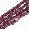 Freshwater Shell Beads Strands X-SHEL-S270-06-1