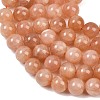 Natural Sunstone Beads Strands G-G342-A03-9mm-4