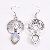 Brass Dangle Earrings EJEW-G240-B02-2