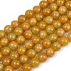 Handmade Lampwork Beads Strand LAMP-B056-10mm-04-2
