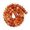 Natural Carnelian Beads Strands G-P587-D06-02-3