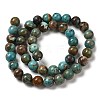 Natural Turquoise Beads Strands G-P506-04C-02-2