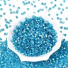 FGB Transparent Colours Glass Seed Beads SEED-Q040-07A-B05-2