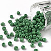 Glass Seed Beads X1-SEED-A010-4mm-47-1