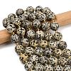 Natural Dalmatian Jasper Beads Strands G-C249-A02-16mm-2