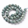 Natural Amazonite Beads Strands G-S333-10mm-005-2