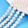 Natural Cultured Freshwater Pearl Beads Strands PEAR-N016-06B-2