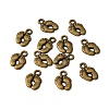 Tibetan Style Alloy Charms LS-K081E071-2