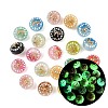 Spray Paint Luminous Resin & Alloy Beads RE-CBAC4C7-16-1