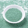 MIYUKI Delica Beads SEED-MY11-DB2125-2