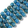 Natural Apatite Beads Strands GG-CBABD99-06-2