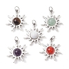 5Pcs 5 Styles Natural Mixed Stone Round Pendants PALLOY-JF02473-S-1