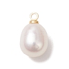 Natural Freshwater Pearl Rice Charms PALLOY-JF04858-02-3
