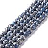 Natural Blue Calcite Beads Strands G-K317-A22-1