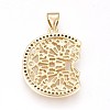 Brass Micro Pave Cubic Zirconia Pendants ZIRC-L078-063G-NR-2