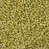 TOHO Round Seed Beads SEED-TR11-0295-2